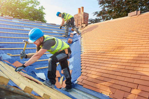Best Roof Insulation Installation  in Holden Heights, FL